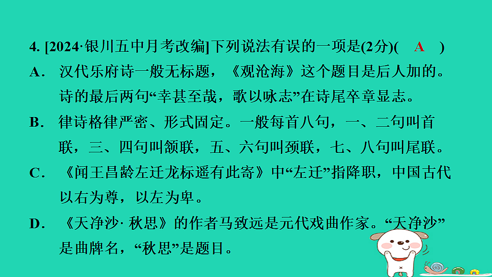 17365677第6页