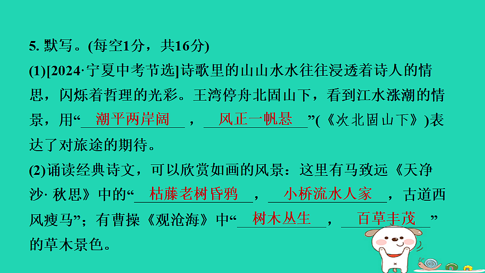 17365677第8页