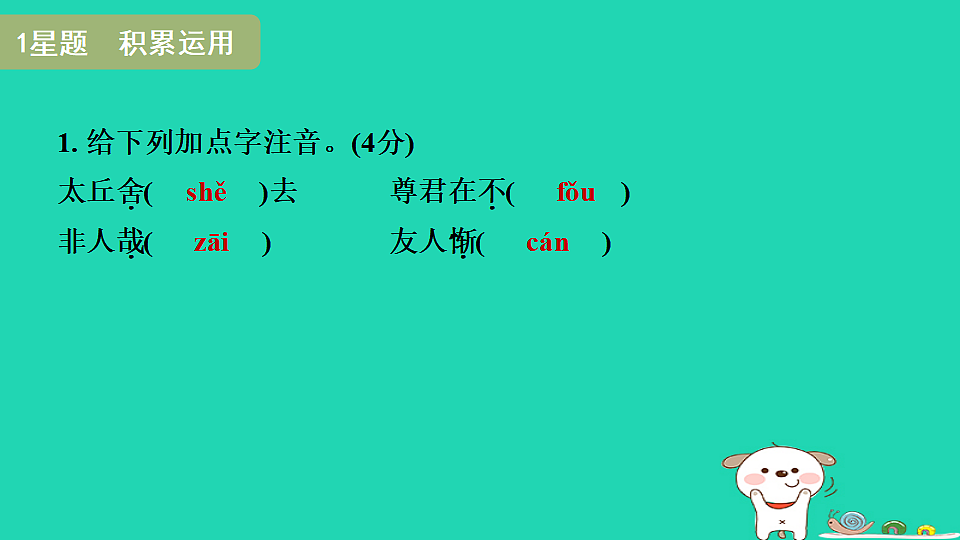 17365680第3页