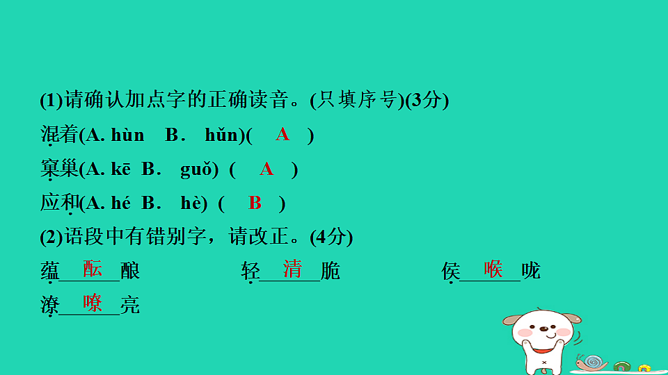 17365693第5页