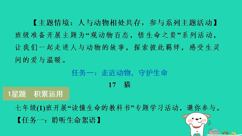 17365707第3页