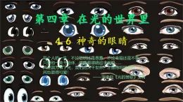 4.6 跨學科實踐：眼睛 課件-2025-2026學年教科版八年級物理上冊