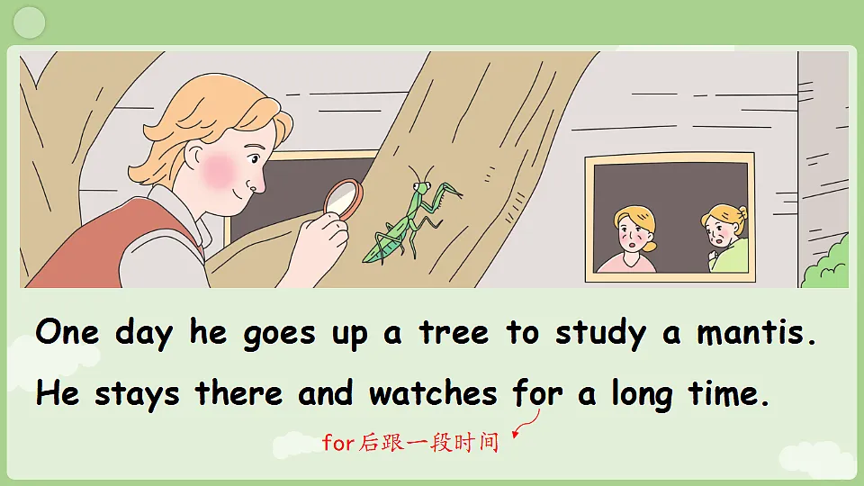 17365867第8页