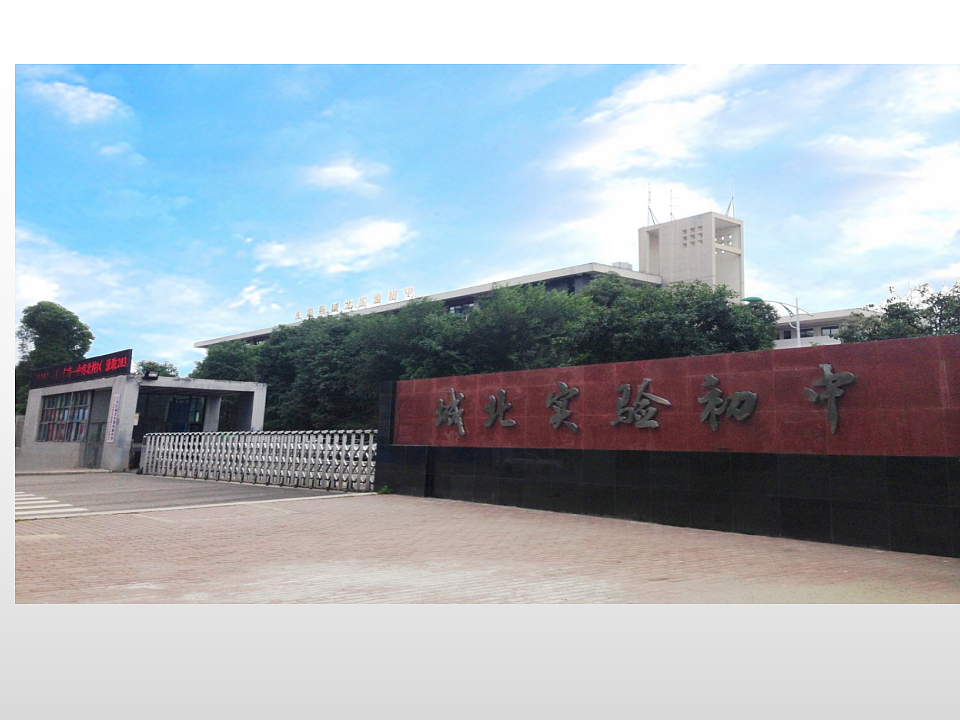 17366034第1页