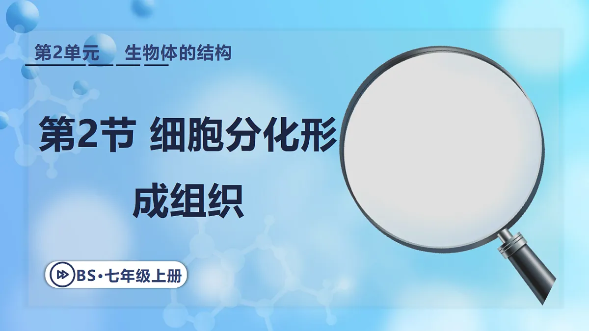 17366226第1页