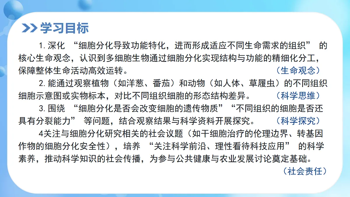 17366226第2页