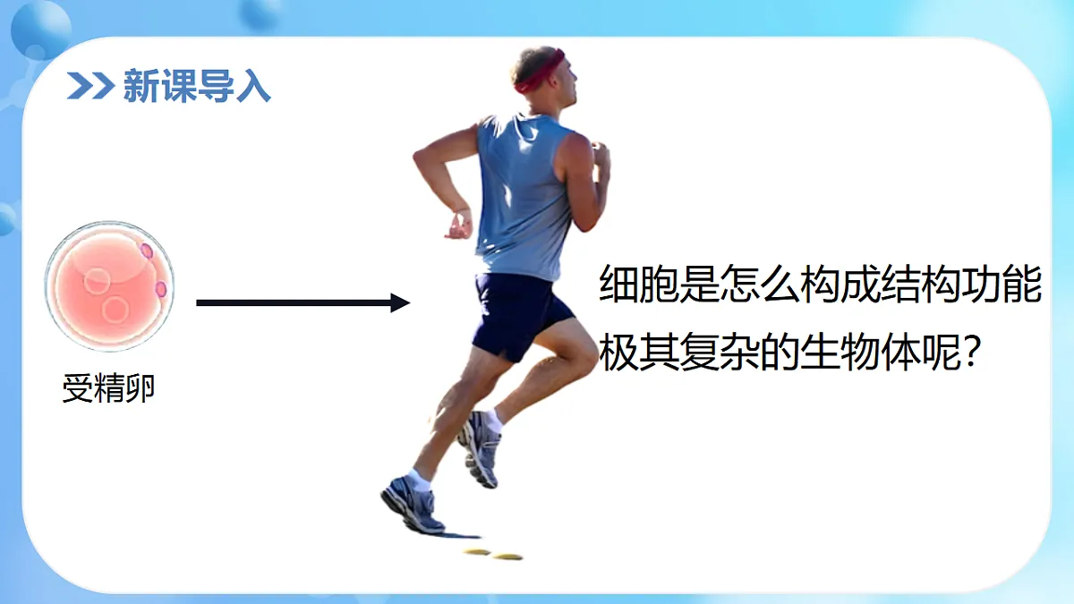 17366226第3页