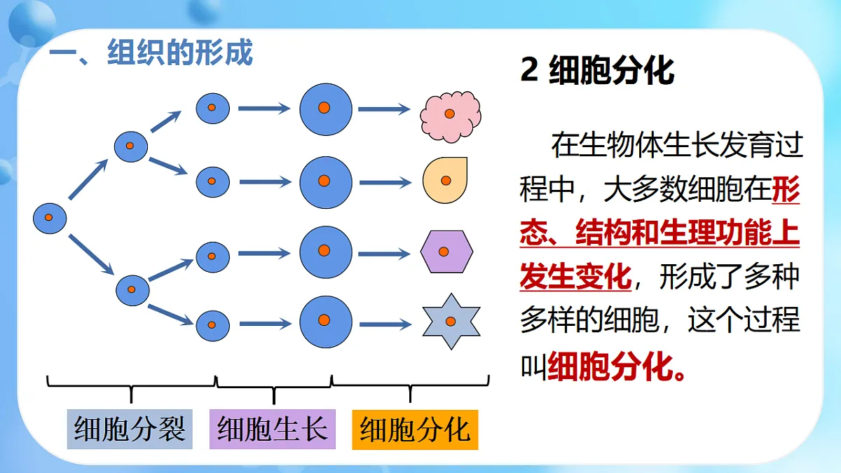 17366226第6页