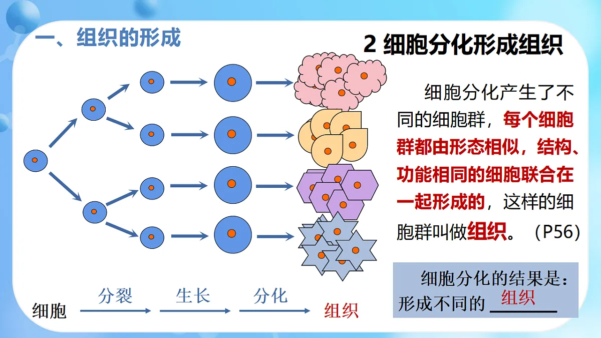 17366226第7页