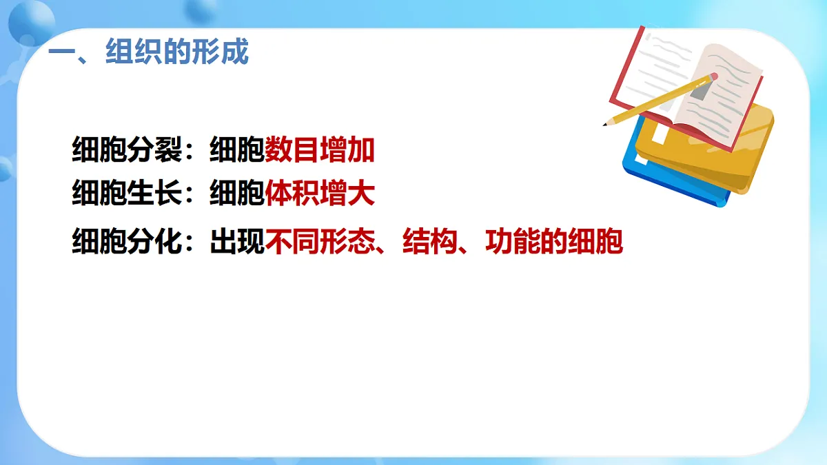 17366226第8页