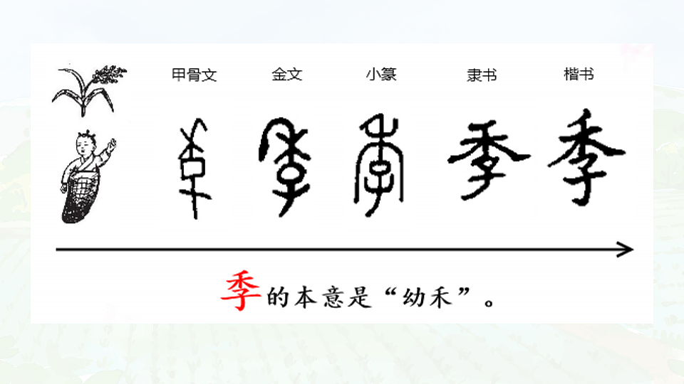 17366429第2页