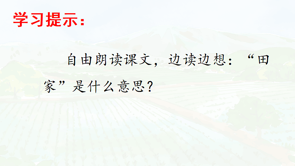 17366429第3页