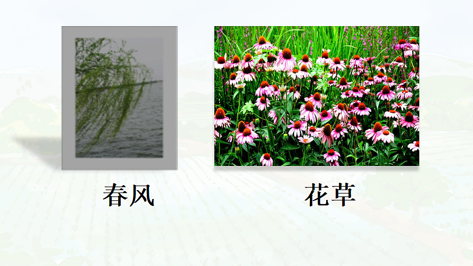 17366429第5页