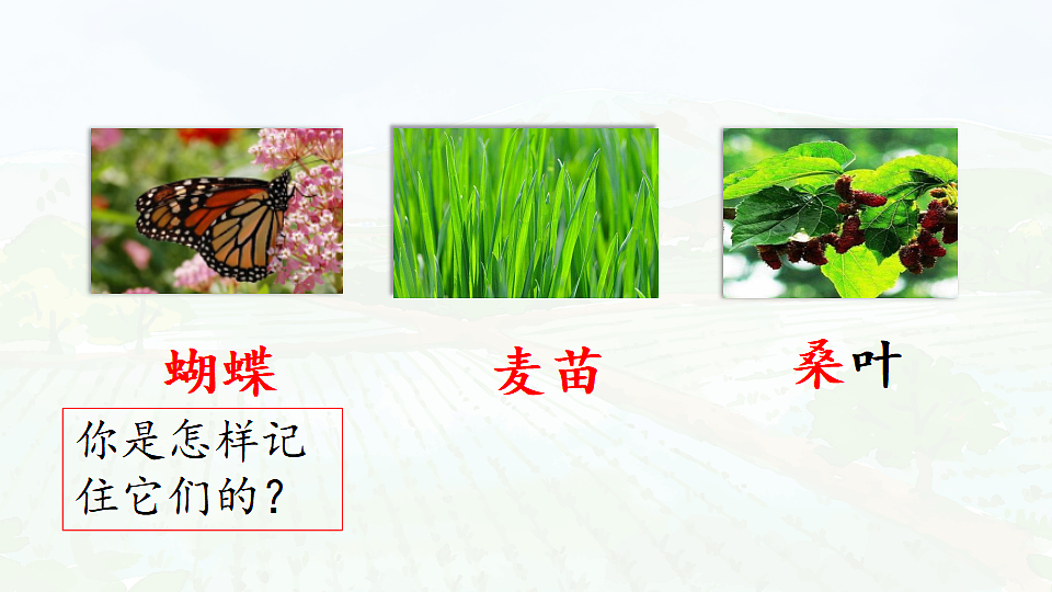 17366429第6页