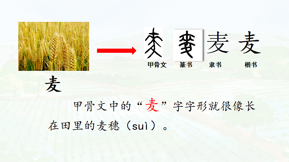 17366429第7页