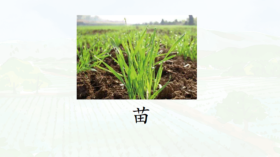17366429第8页