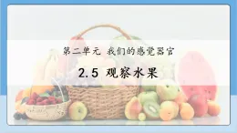 2.5 觀察水果   課件 2025-2026小學科學一年級上冊 人教鄂教版