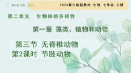 2.1.3無脊椎動物 第1課時 線蟲動物和環(huán)節(jié)動物（教學(xué)課件）-2025-2026學(xué)年七年級生物上冊（冀少版2024）