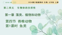 2.1.4 脊椎動物 第1課時 魚類（教學(xué)課件）-2025-2026學(xué)年七年級生物上冊（冀少版2024）