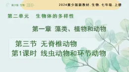 2.1.3無脊椎動物 第1課時 線蟲動物和環(huán)節(jié)動物1（教學(xué)課件）-2025-2026學(xué)年七年級生物上冊（冀少版2024）