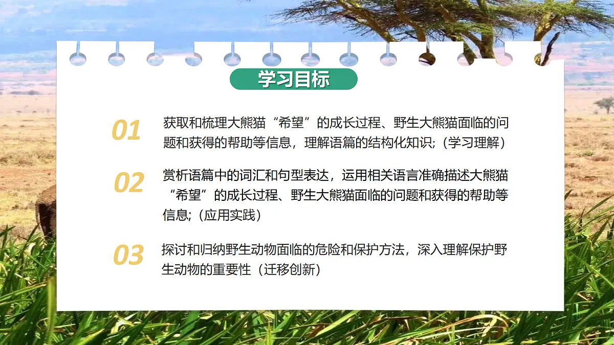 17366872第2页