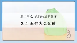 2.4 我們怎么知道  課件 2025-2026小學科學一年級上冊 人教鄂教版