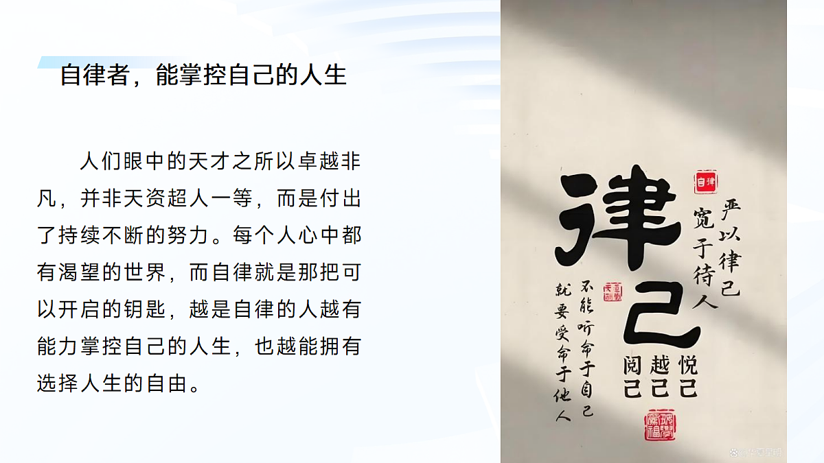 17366931第7页