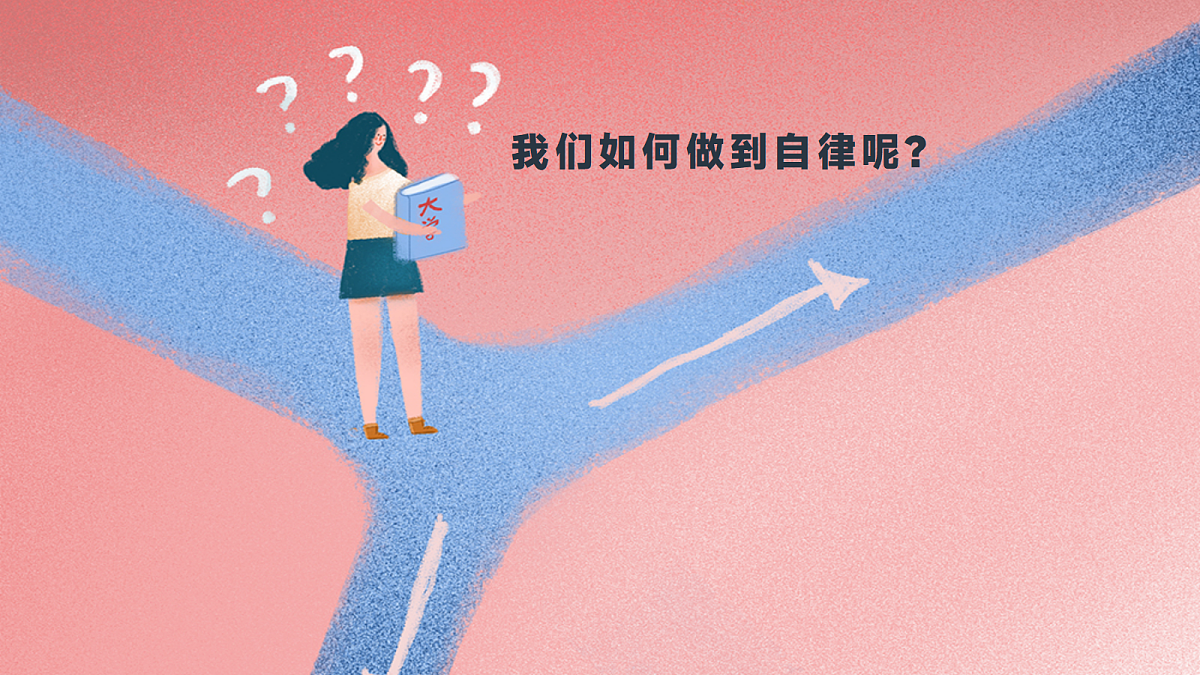 17366931第8页