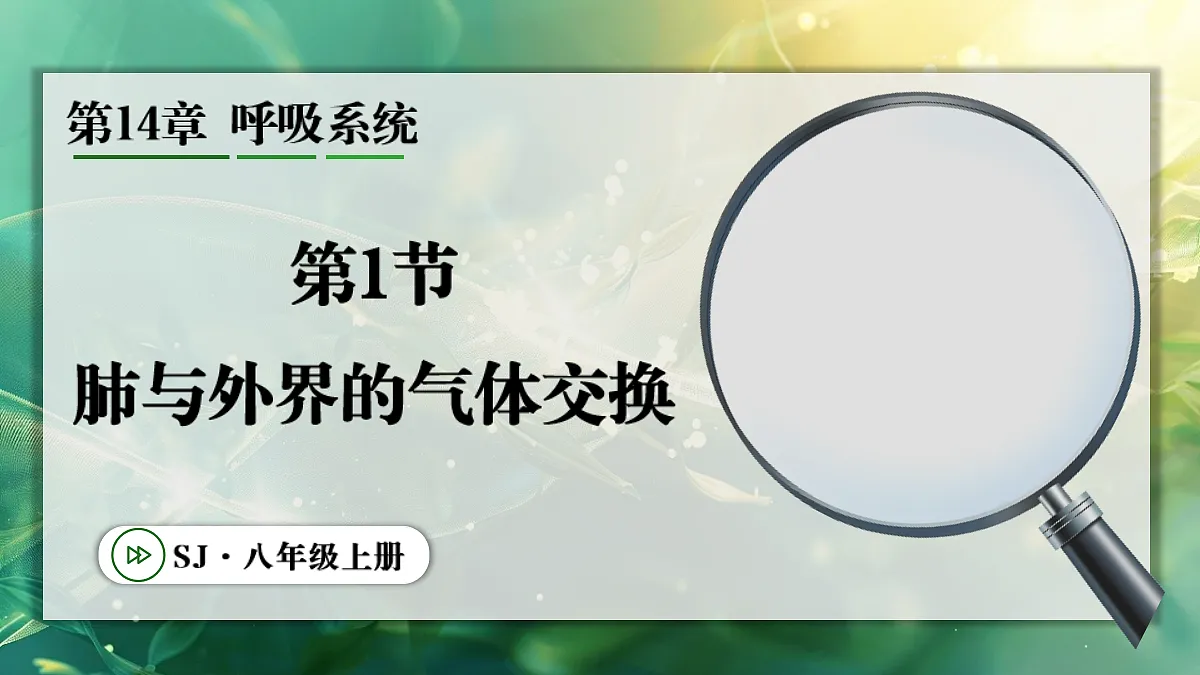 17367582第1页