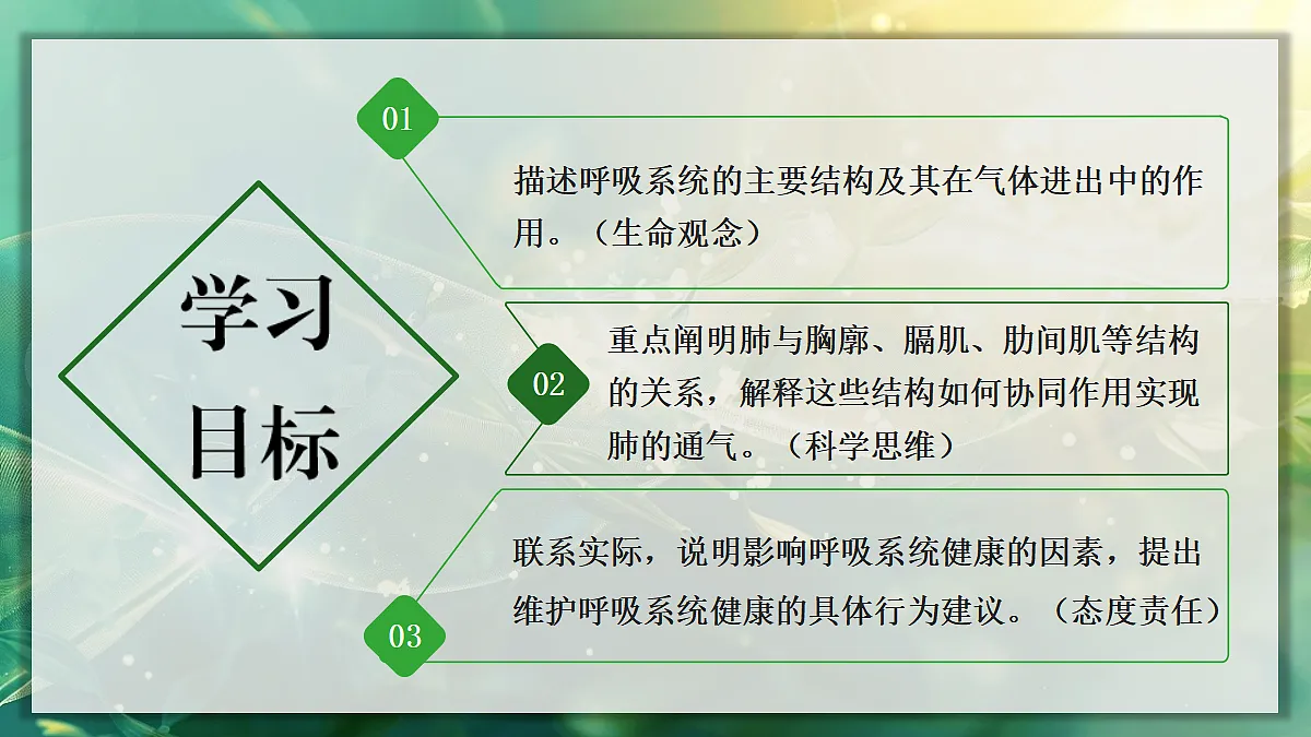 17367582第2页