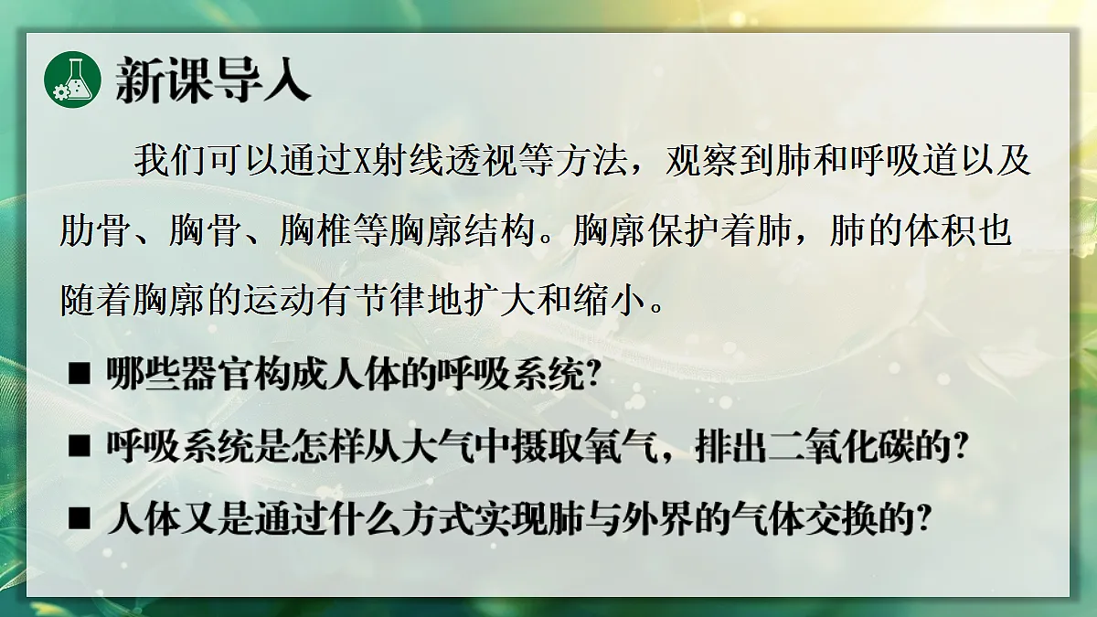 17367582第4页