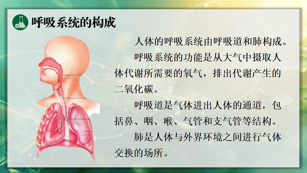 17367582第5页