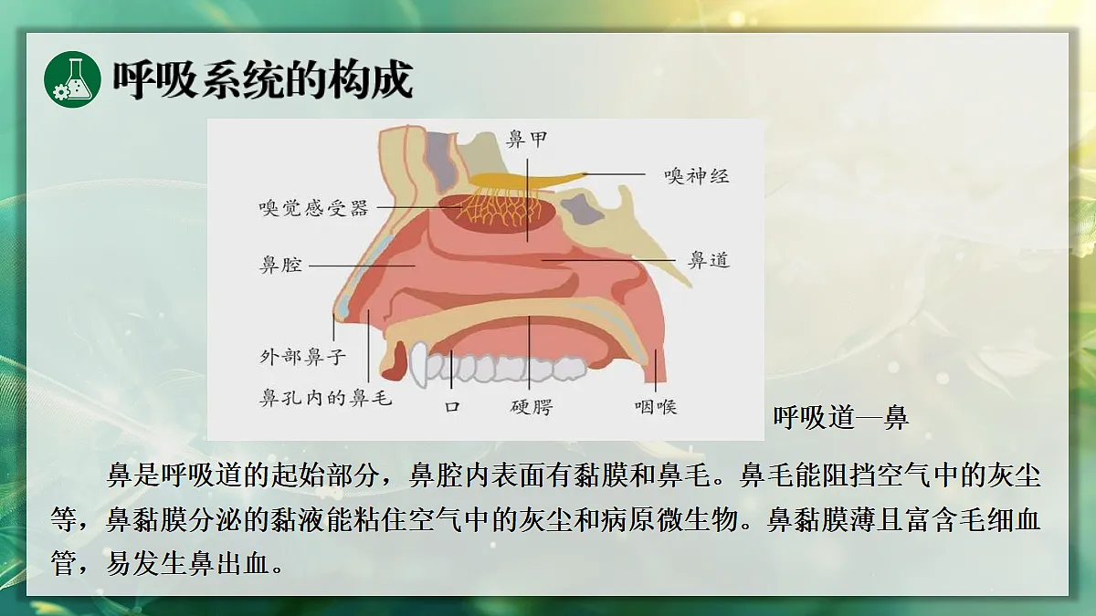 17367582第7页