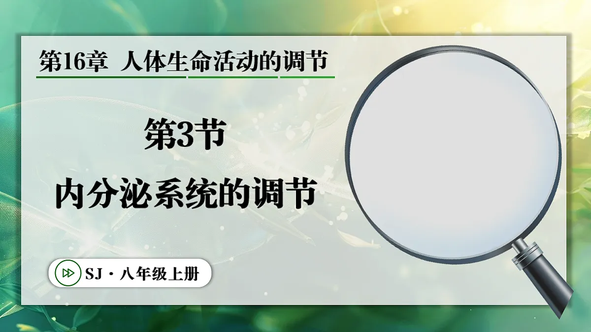 17367587第1页