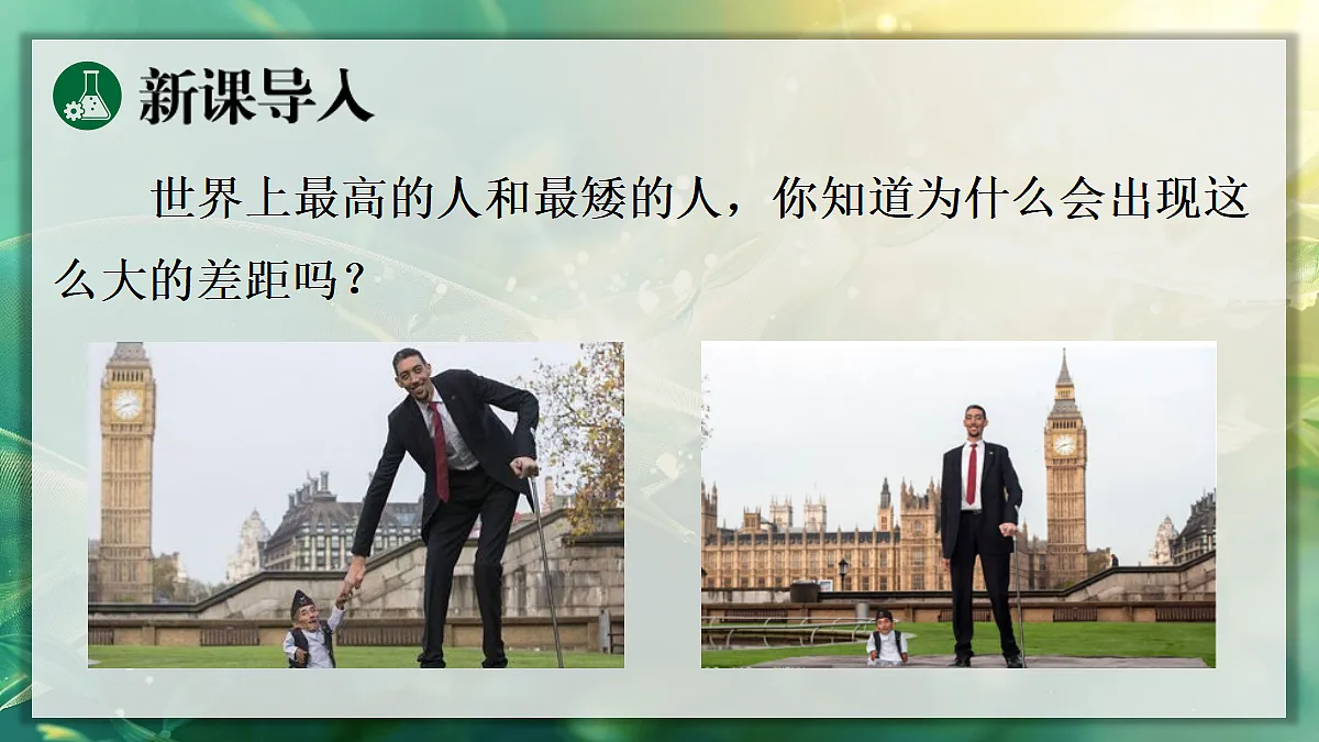17367587第3页