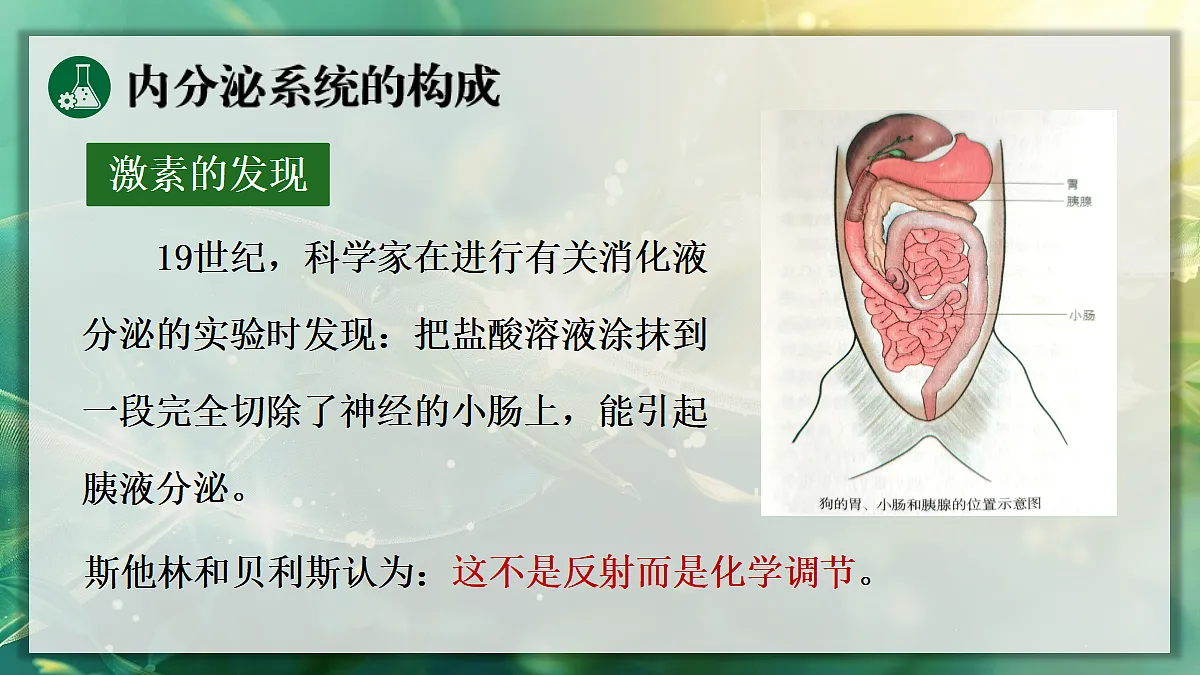 17367587第5页