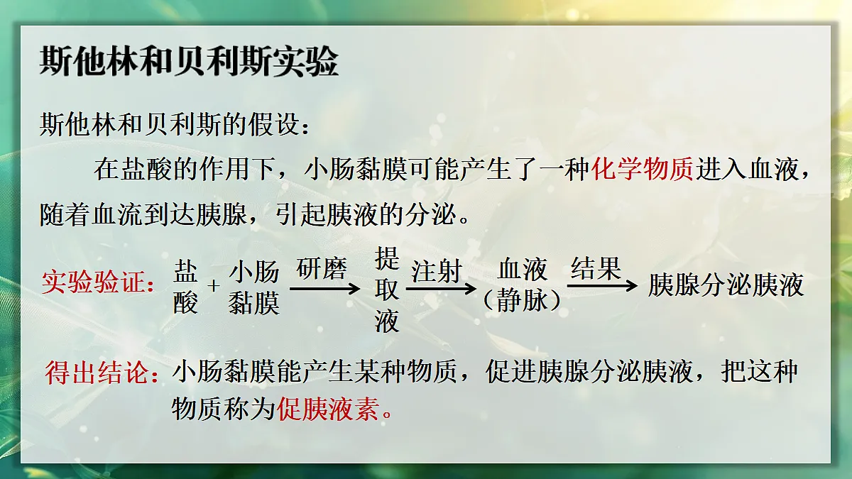 17367587第6页