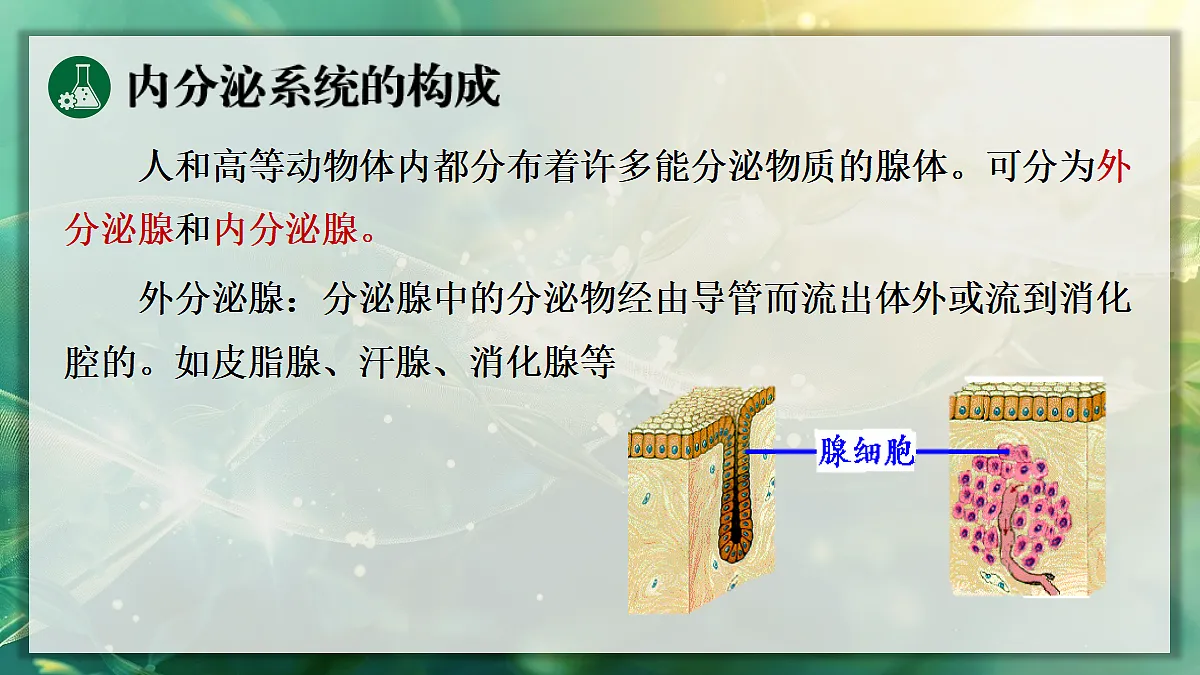 17367587第7页