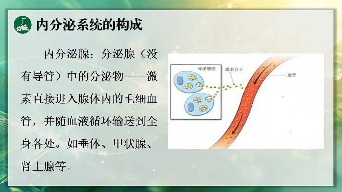 17367587第8页