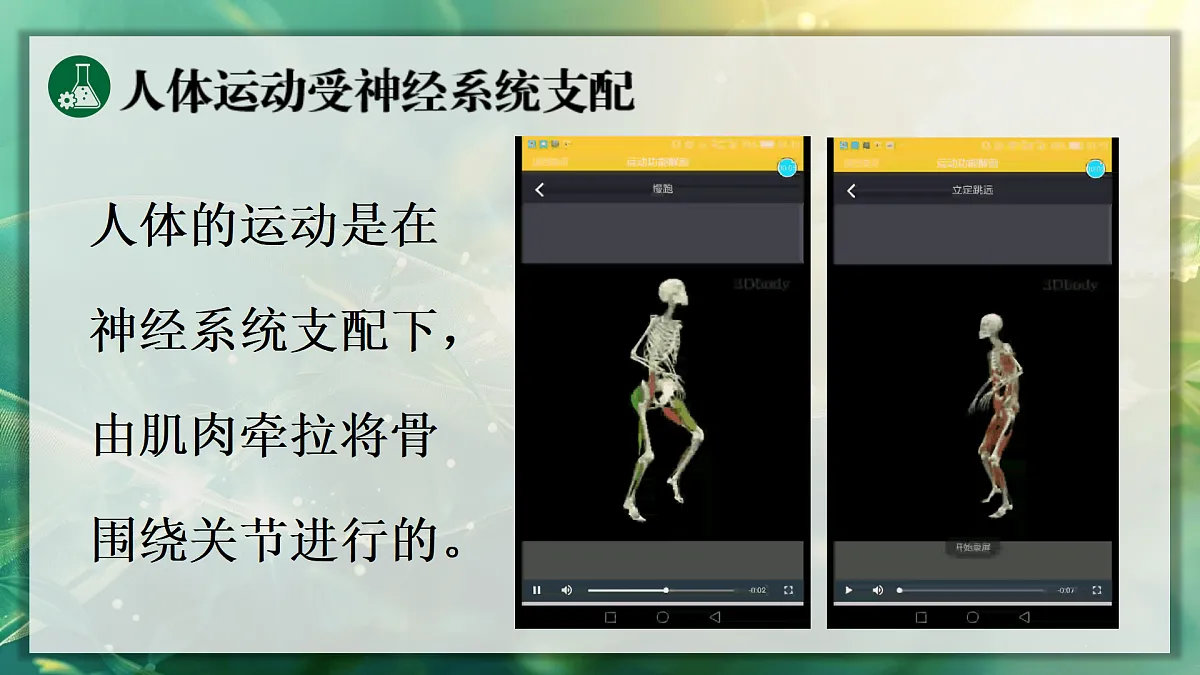 17367608第4页