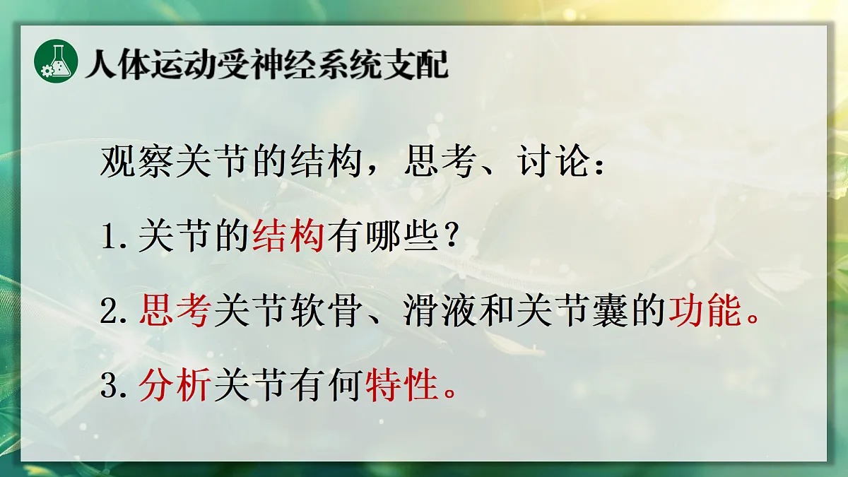 17367608第5页