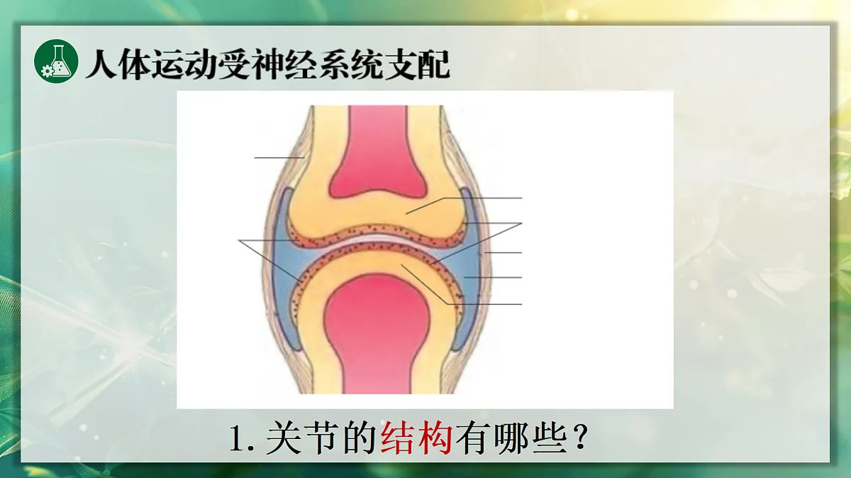 17367608第6页