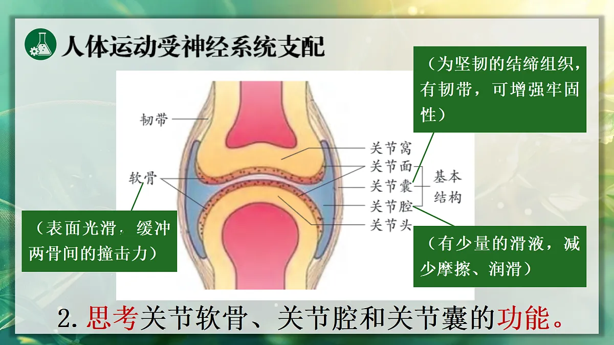 17367608第7页