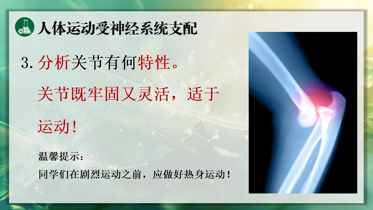 17367608第8页