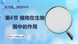 3.4.6 植物在生物圈中的作用  課件 北師大版生物七年級上冊.