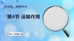 3.4.4  運輸作用   課件 北師大版生物七年級上冊.