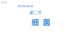 初中  生物  人教版（2024）  七年級上冊2.3.2 細菌 課件