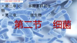 初中  生物  人教版（2024）  七年級上冊2.3.2 細菌 課件