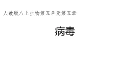 初中  生物  人教版（2024）  七年級上冊2.3.4 病毒 課件