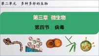 初中人教版（2024）病毒课堂教学ppt课件